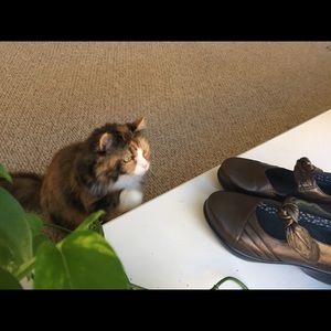 DANSKO Mary Janes like new!